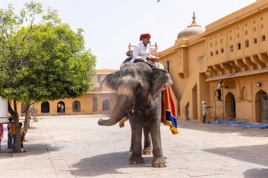 Jaipur, Rajasthan, Hindistan - 15 Nisan 2022: Jaipur 'daki Kehribar Kalesi' nde madalyalı file binen kimliği belirsiz turist portresi. Arkaplanda Amber Kalesi 'nin mimari görünümü.