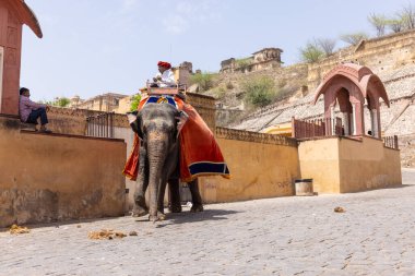 Jaipur, Rajasthan, Hindistan - 15 Nisan 2022: Madalyalı file binen kimliği belirsiz turist