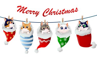 Şirin kedi yavruları Noel 'de çorap giyerler.