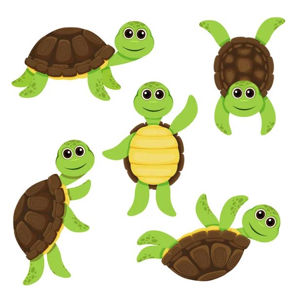 Cartoon lustige Schildkrötenfiguren gesetzt — Stockvektor