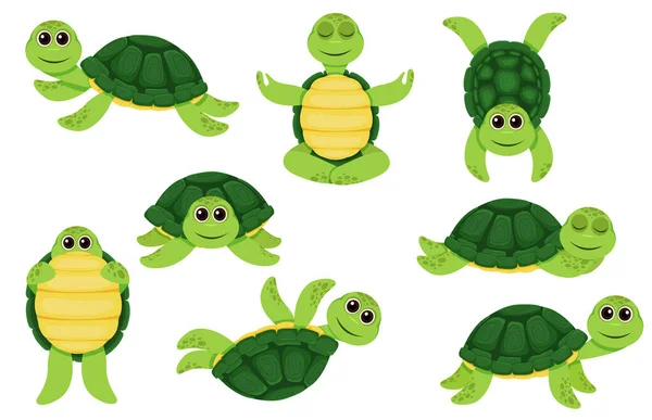 Collection of green turtle characters — Stock Vector