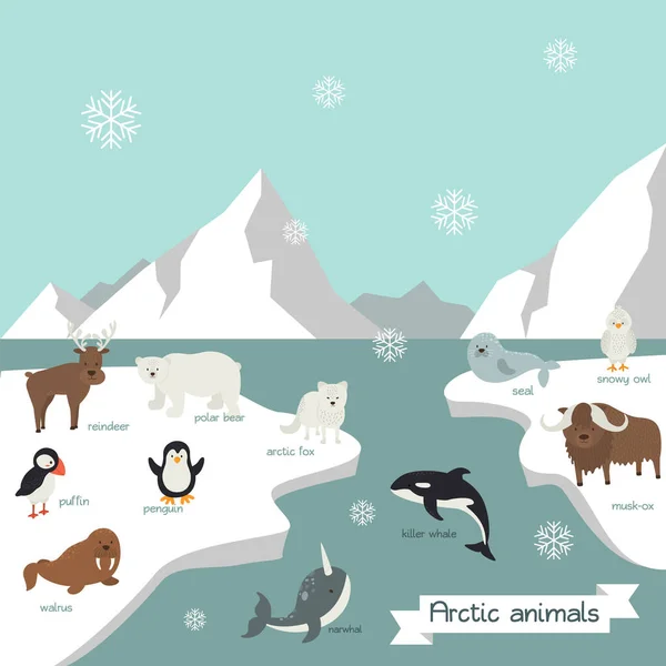 Kreskówkowe słodkie zwierzęta arktyczne — Wektor stockowy