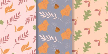 Sonbahar desen koleksiyonu