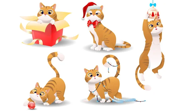 카툰 크리스마스 고양이 — 스톡 벡터