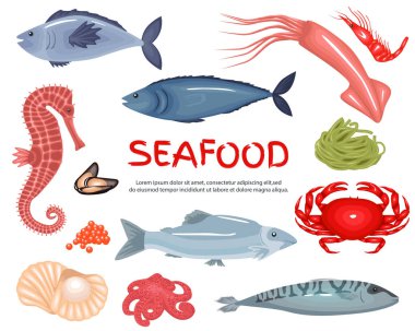 Deniz ürünleri büyük koleksiyonu seti