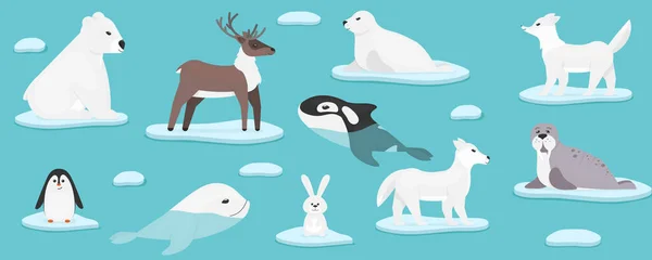 Animales marinos árticos — Vector de stock