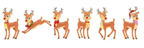 Bir çift şirin ren geyiği. 