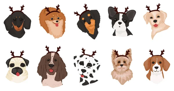 Set Cute Dogs Christmas Cute Dogs Deer Antlers Collection Funny — Stock Photo, Image