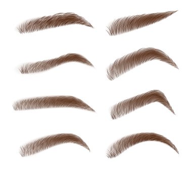 Çeşitli tipte kaşlar. Klasik tip ve farklı kaş kalınlığı. Kahverengi kaş torbası. Kahverengi kaşlar beyaz arka planda izole edilmiş. Vektör illüstrasyonu