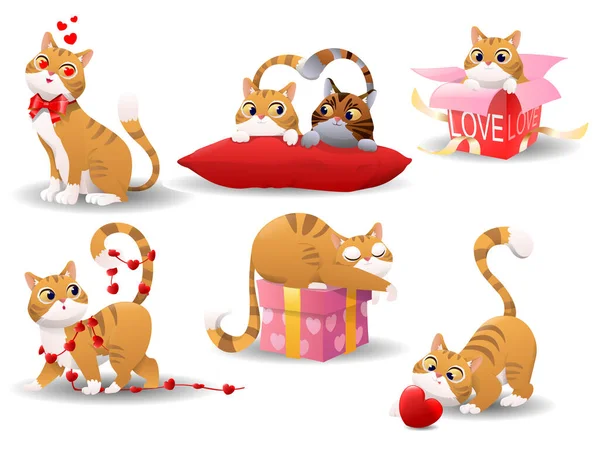 Beyaz Arka Planda Sevgililer Günü Nde Bir Grup Sevimli Kedi — Stok fotoğraf