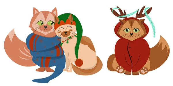 Yılbaşı Noel Için Karakterli Çift Kedi Noel Kedileri Çelenklere Dolanmış — Stok fotoğraf