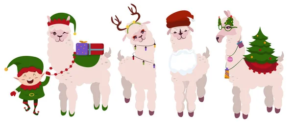 Personagem Alpaca Lote Caixa Presente Com Tema Natal — Fotografia de Stock