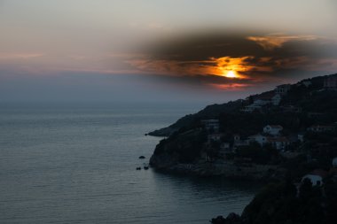 Kozalaklı bir ormanda ağaç kesiyorum. Kesilmiş ağaç gövdeleri ve ağaç kütükleri. Moskova bölgesi. Rusya.