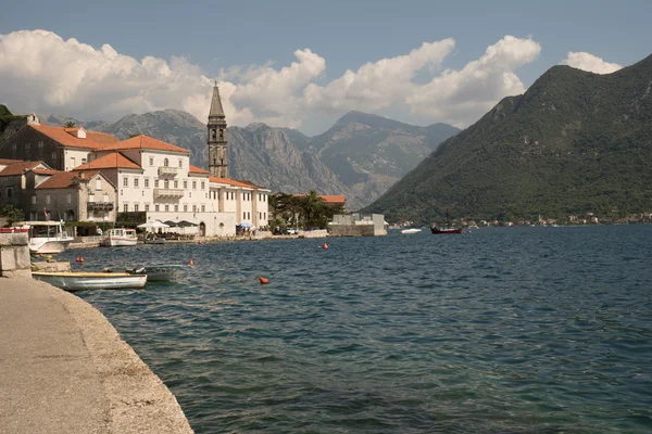 Kozalaklı bir ormanda ağaç kesiyorum. Kesilmiş ağaç gövdeleri ve ağaç kütükleri. Moskova bölgesi. Rusya.