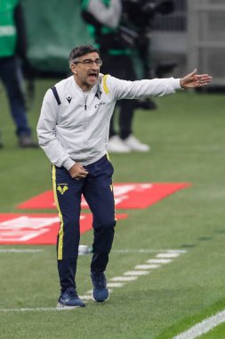  08/11/2020. Milan-Verona. Ivan Juric, coach Verona.