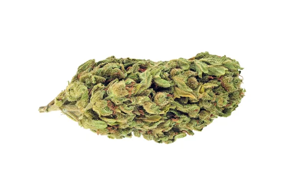 Cannabis bud isolated on white — Stock Photo, Image