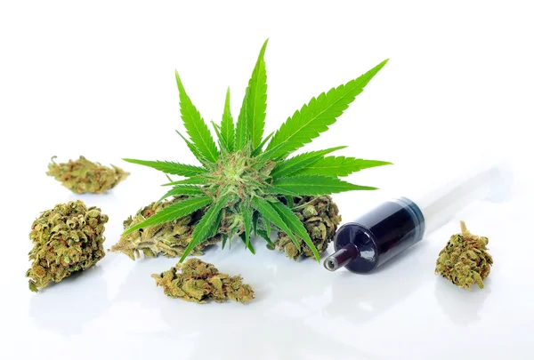 Medical marijuana and hash oil — Stock Photo, Image