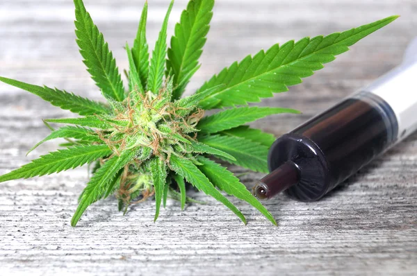 Medische marihuana en hash-olie — Stockfoto