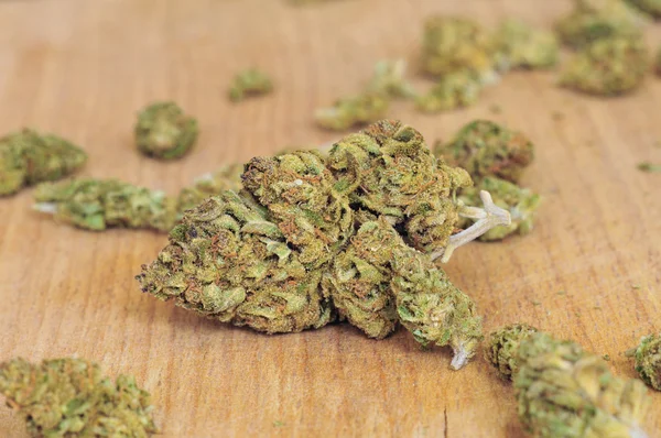 Torra marijuana knoppar — Stockfoto