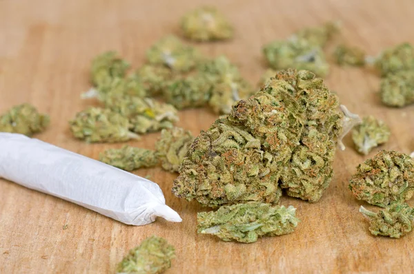 Dry marijuana buds — Stock Photo, Image