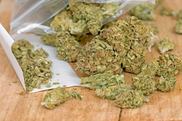 Dry marijuana buds — Stock Photo, Image