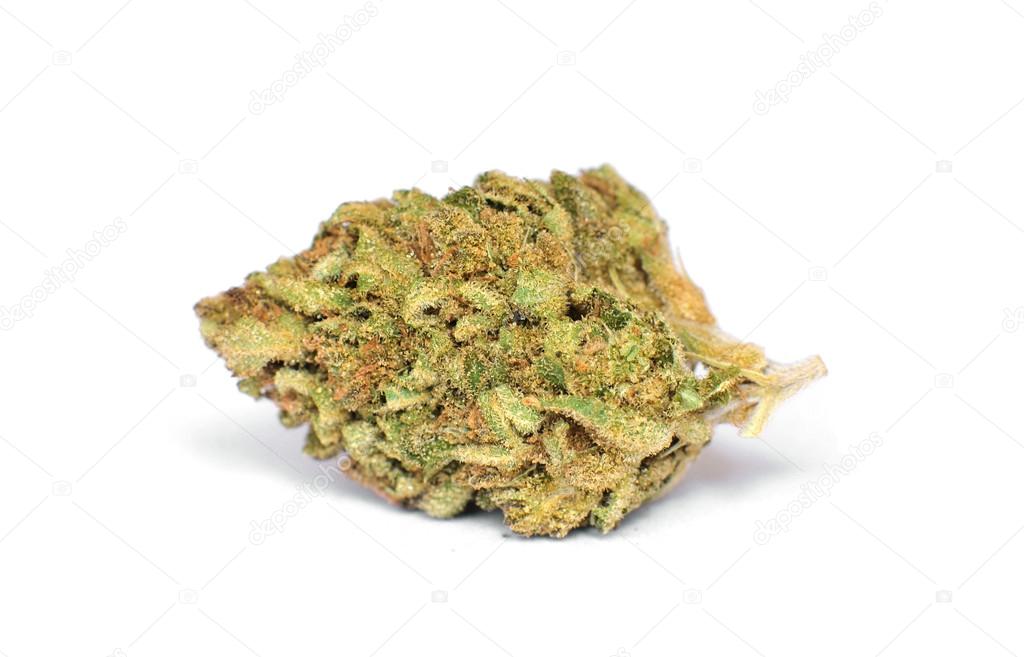 Marijuana buds on white background