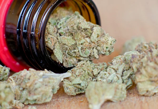 Extremo close-up de marijuana bud — Fotografia de Stock