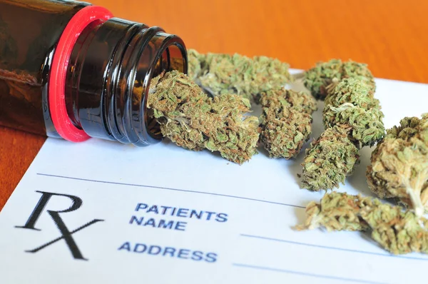 Dry medical marijuana buds — Stock Photo, Image