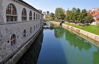 Ljubljanica Nehri'nin ve Kasap'ın Köprüsü arka planda, Ljubljana, Slovenya
