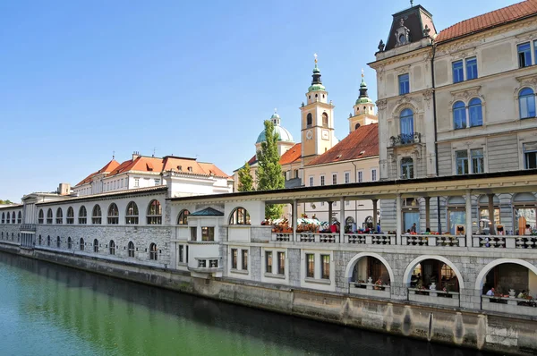 Любляниці річки і собор Святого Миколая на задньому плані, Любляна, Словенія — стокове фото