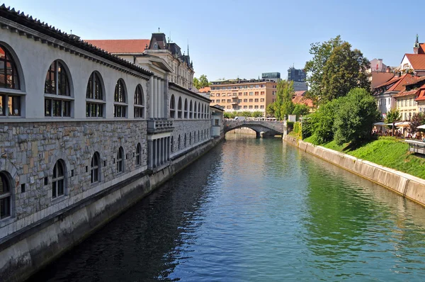 Río Liublianica y puentes triples en el fondo, Liubliana, Eslovenia — Foto de Stock