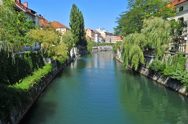 Río Liublianica y centro de la ciudad vieja, Liubliana, Eslovenia — Foto de Stock