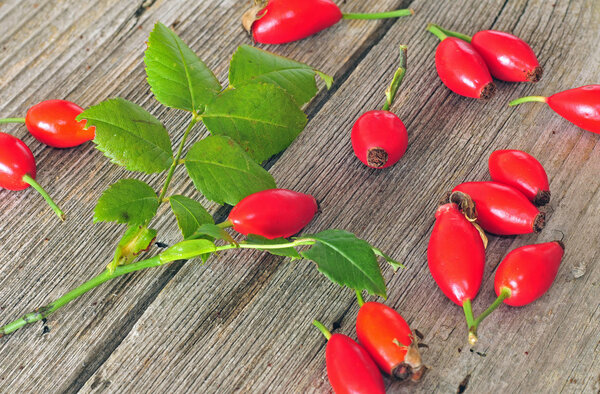 Dog rose hips