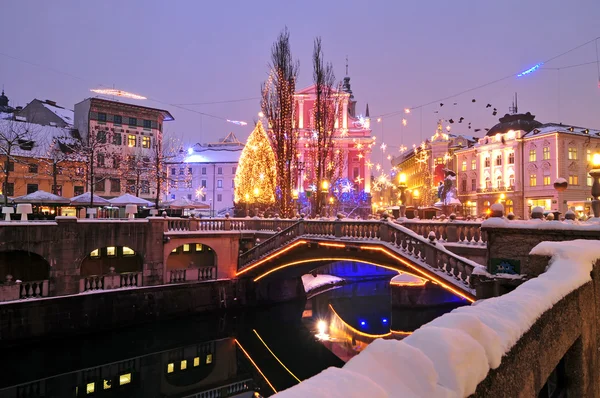 Ljubljana, dekore edilmiş yeni yıl kutlamaları için — Stok fotoğraf