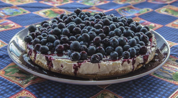 自制蓝莓芝士蛋糕的特写镜头 — 图库照片