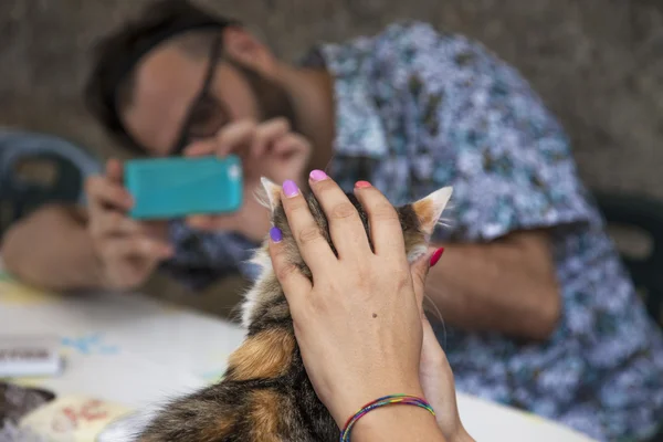 L'uomo scatta una foto di un gatto — Foto Stock