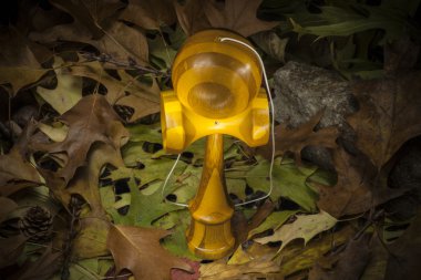 Kendama sonbahar bir kompozisyon