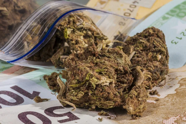 Minigrip med marijuana och pengar — Stockfoto