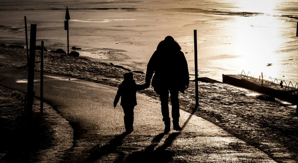 Baba ve oğul donmuş bir gölün yakınında Telifsiz Stok Imajlar