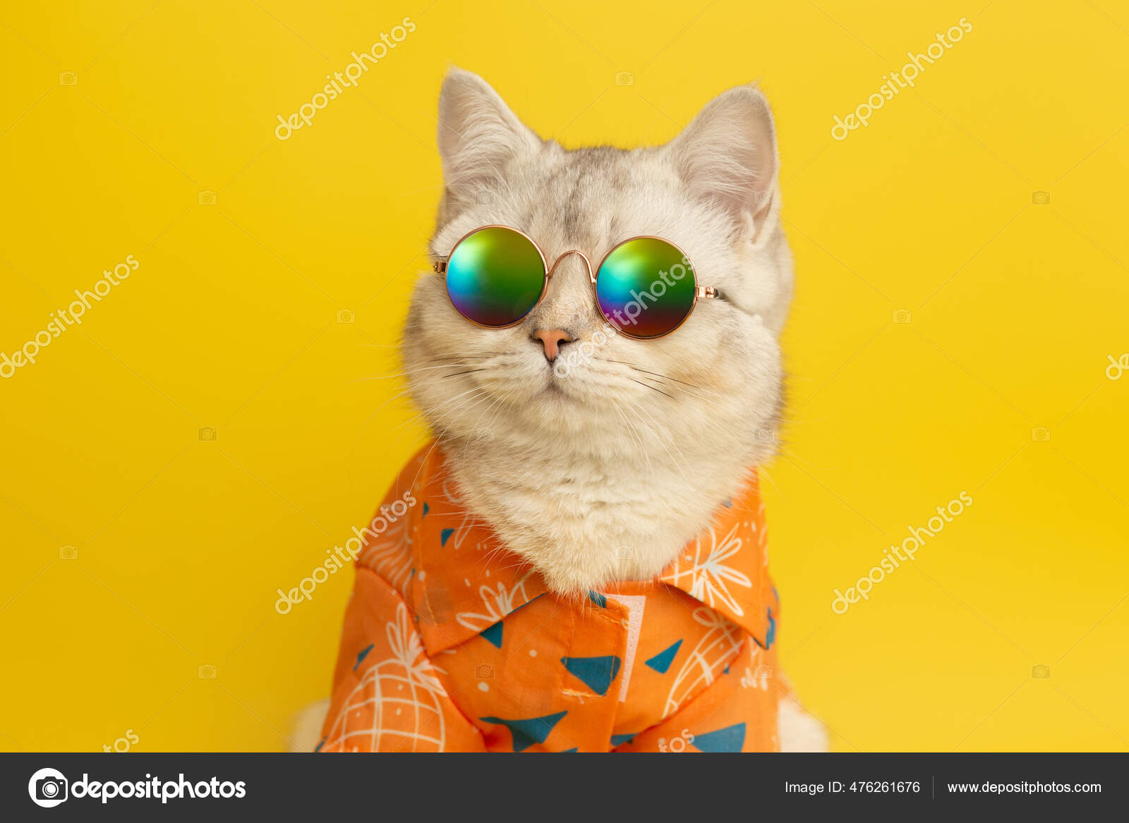 Dreamboat Pictures Dreamboat Stock Photos Images Depositphotos Dreamboat Pictures Dreamboat Stock Photos Images Depositphotos