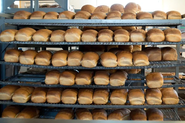 Des pains dans une boulangerie Images De Stock Libres De Droits