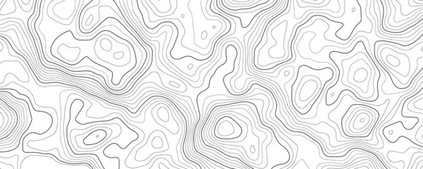 Mapa Topográfico Com Grade Mapa Alívio Vetorial — Vetor de Stock