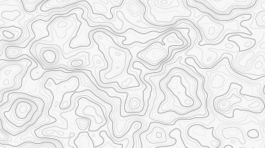 Topography map with grid. Vector relief map. clipart
