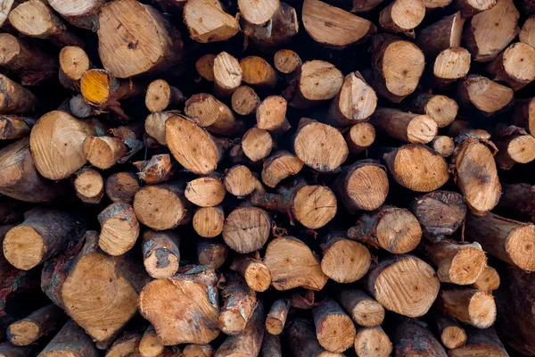 Pile of wood logs ready for winter - wood logs background