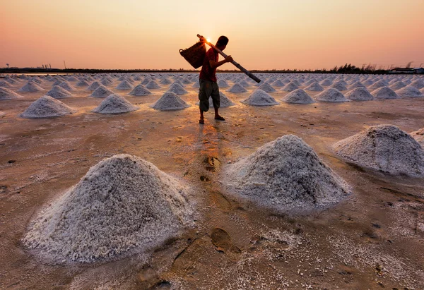 Trabalhador na fazenda de sal durante o pôr do sol, Tailândia — Fotografia de Stock