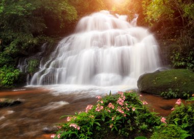Phetchaboon Eyaleti, Tayland, Thailand, derin orman şelale. 