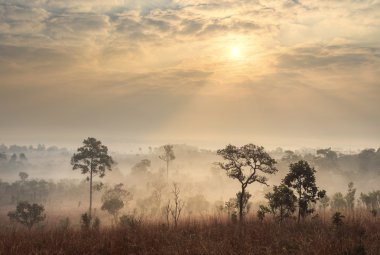 Tayland savana manzara gündoğumu