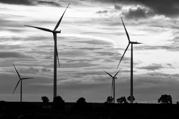 Field of wind turbine in back and white, Thailand — Stock Photo, Image
