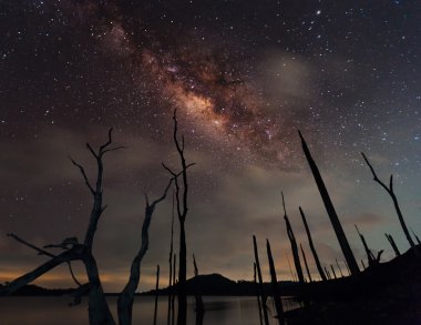 The milky way and the dead tree clipart
