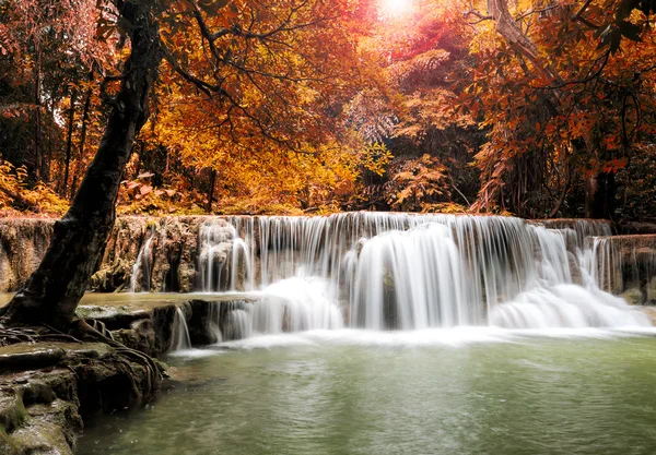 Şelale yağmur ormanlarında (Huay Mae Kamin şelale, Kanchanabur